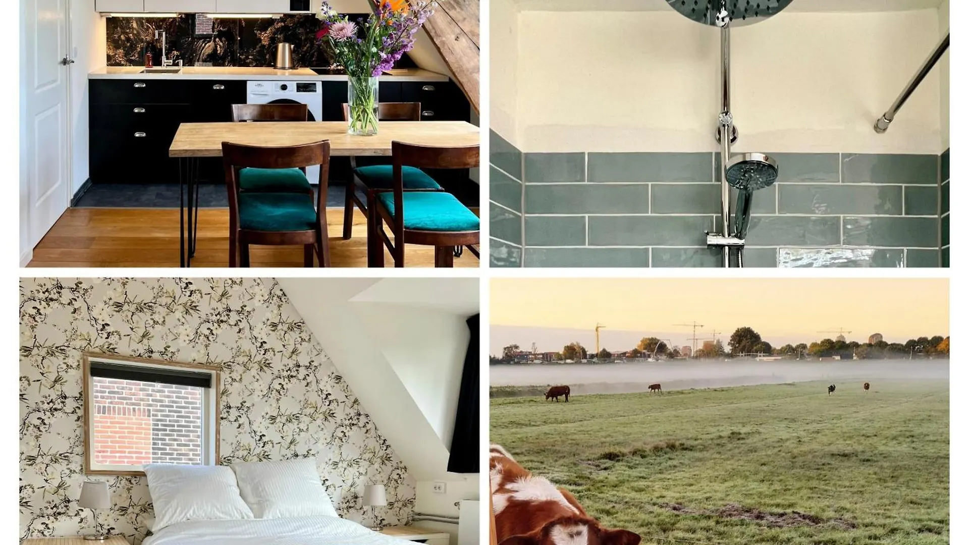 Meadowview Private Apartment 20 Minutes From City Centre contacts
